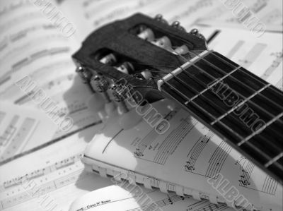 guitar