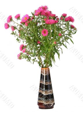 flowers in vase