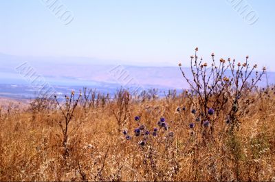 Galilee landscape