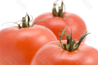 tomato macro