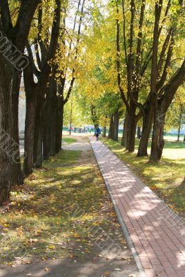 Lane in the monastery