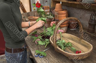 Arranging the flowers