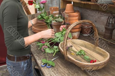 Arranging the flowers