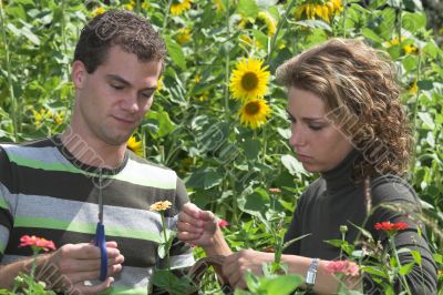 Couple working together in the garden