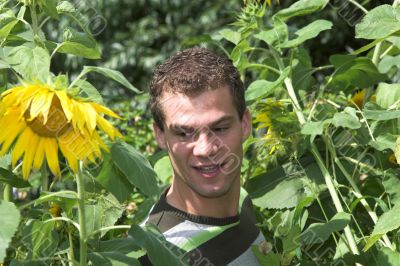 Between the sunflowers