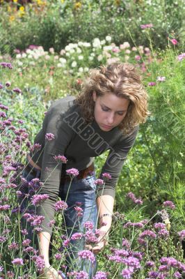 Working in the garden