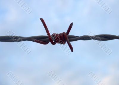 Barbed Wire