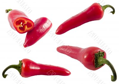 red hot chili pepper series