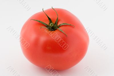 Tomato isolated
