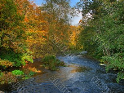 colorful autumn river