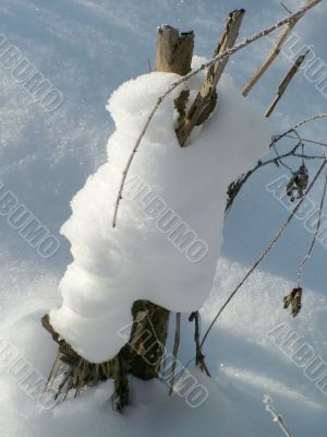 Winter view