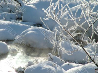 Winter view