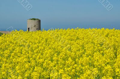 Yellow tower