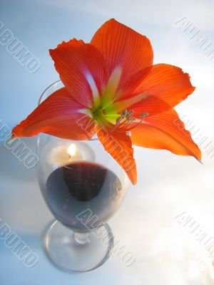 Red wine with lilie