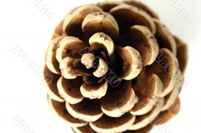 Cone isolated in white background