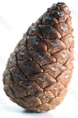 Cone isolated in white background