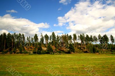 landscape