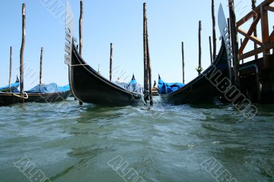 Venice
