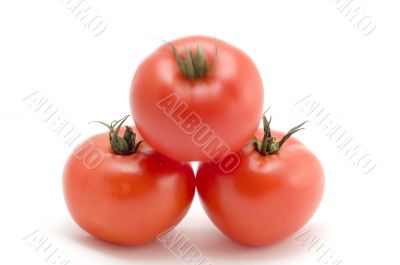 degressive tomato