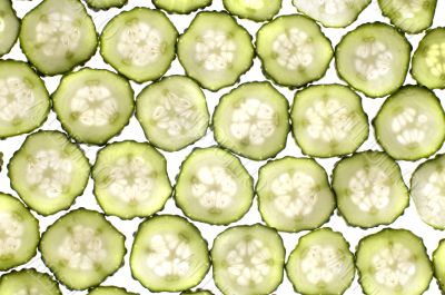 lobule cucumber