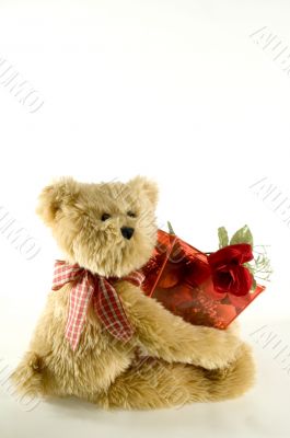 Teddy Bear Holding Container of Roses