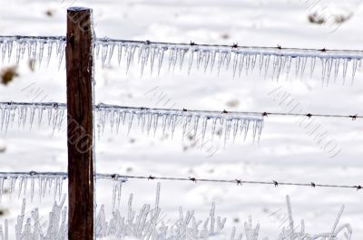 Icicles on Barbed Wire