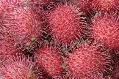 rambutan fruit