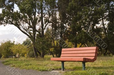 Red Bench on Path