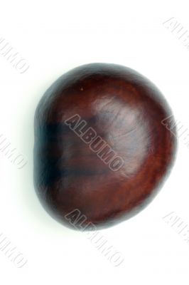 Chestnut at autumn isolated in white background