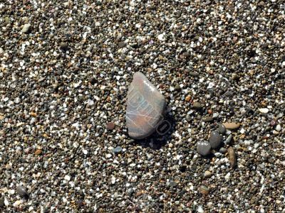 wet pebbles on the beach of the Black Sea 1