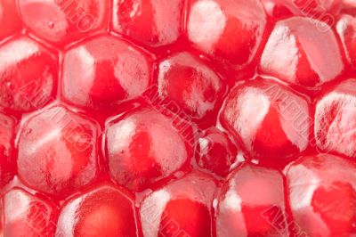 Ripe pomegranate macro