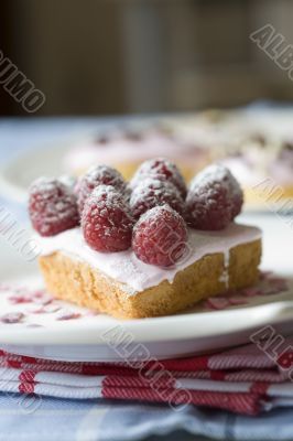 Small cupcakes with raspberries