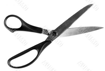 scissors