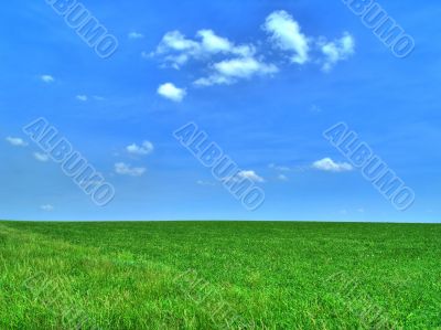 Lush Green Field