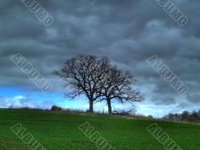 Storm Brewing