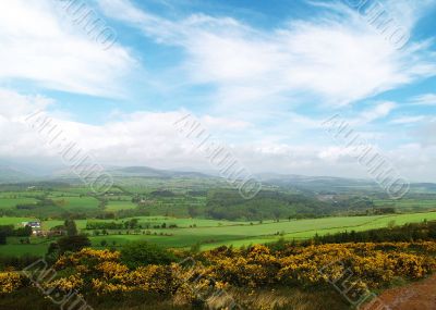 Irish Countryside