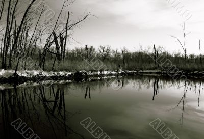 Unfrozen Lake