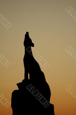 Coyote Howling Silhouette