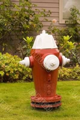 Red and White Fire Plug