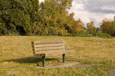 Bench in Meadow