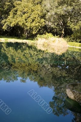 Koi Pond with Reflections