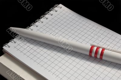 pen and notebook