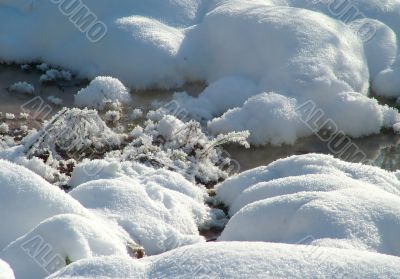 Winter view