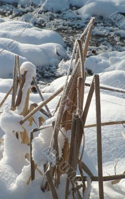 Winter view