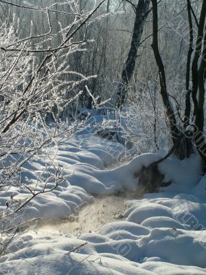 Winter view