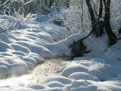 Winter view