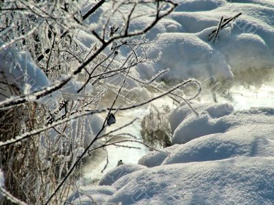 Winter view