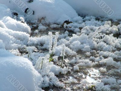 Winter view