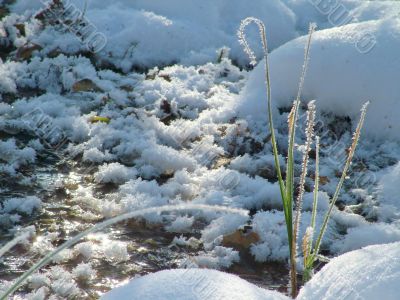 Winter view
