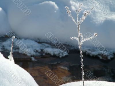 Winter view